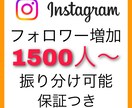Instagramフォロワーを増やします 1500人から承ります！10人単位で振り分けも可能です！ イメージ1
