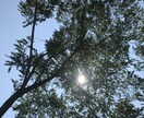 愚痴、悩み、不安、聞きます あなたの悩み私に教えてくれませんか？ イメージ2