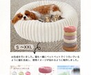 楽天・Amazon 商品画像制作します 構成・キャッチコピーもご提案｜丸投げOK イメージ2