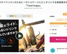 クラファンで総代理店契約を取るための英語通訳します 300社以上との通訳経験あり、3,000万円超えのクラファン イメージ2