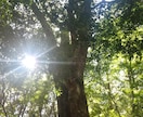 自分が変わる・波動を上げる・本気の方のみ対応します 魂の根本を浄化するセルフワーク&コーチング イメージ2