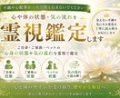 心や体の状態・気の流れを霊視鑑定します ご自身やご家族・ペットの心身の状態や気の流れを霊視します イメージ1
