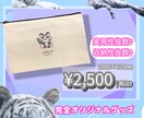 動物関係、子供向けチラシを作成します 大人から子供まで目で見て楽しめる作品をお届けします イメージ4