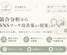 競合分析からSNSマーケ改善案まで提案します 競合との差を整理し、次にやることまで提案します イメージ1