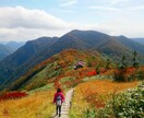 心の「浄化」いたします 近いからこそ話せない。相談する人がいない。話すのが恥ずかしい イメージ2