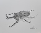 鉛筆で、似顔絵を描きます リアルな、ペットや、人物の鉛筆似顔絵。 イメージ7