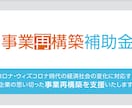 第10回事業再構築補助金の事業計画の作成支援します 複数件採択実績あり！事業計画書の書き方がわからない方にも♪ イメージ1