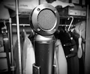 ソロシンガーとして歌入れのオファーを承ります お客様の要望に沿った歌声を追求致します♩ イメージ7