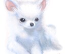 水彩風イラストやマスコット風イラストが描けます あなたの大切な家族や好きな動物をふんわりイラスト化！ イメージ7