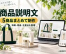 ネットショップの商品説明文を5点作ります 商品の特徴を、買う人が比較しやすい文章に イメージ1