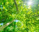 貴方の心を軽くします 遠慮なく、教えてください。貴方のお話しを聞かせてください。 イメージ2