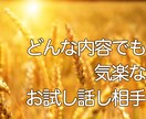 お試しOK! 気楽なお話相手になります 話し相手を探されているあなた！どんな内容でもお気軽にどうぞ♪ イメージ1