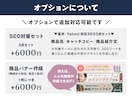 ECモール向けメイン画像(第一画像)を作成します 【丸投げOK】EC実務経験を活かし市場分析から構成・制作まで イメージ8