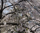 お話し聞きます 心の中がいっぱいになっていませんか？ イメージ1