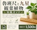 魯班尺と九星観葉植物の実践ガイドます 魯班尺と九星を暮らしに活かす実践ガイド イメージ1