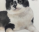 ポストカード☆水彩画で肖像画描きます 東京藝術大学出身画家による本格的な絵画 イメージ8