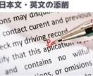 英語での困りごと、まるっと解決します 英語姉さんをレンタル、英文契約書の相談から通訳までお引き受け イメージ4