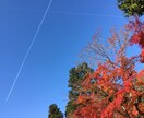 東京周辺の写真を撮影代行いたします 一眼、ミラーレス等の撮影。鉄道もok！ イメージ1