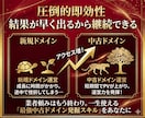 中古ドメインのノウハウ・購入方法を教えます ブログやアフィリエイトサイトのアクセスPVを増やしたい方に イメージ4