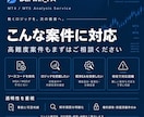 MT4/MT5のEA・インジを解析・復元します EX4・EX5解析｜MQL4・MQL5復元・改修・移植対応 イメージ3