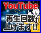 国内YouTube再生+1000回UPさせます 【効果抜群】日本人集客強化！YouTube再生数UP！ イメージ1