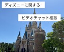 テーマパークの相談のります 【ディズニー相談】☆ビデオorテキスト イメージ1