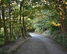 写真素材を提供します 自然派写真を撮影して提供します。 イメージ1