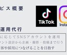 SNS運用をさせていただきます 効果につながるSNS運用を求めている方へ イメージ1