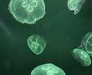 愚痴，悩みなんでも伺います 心に秘めていること誰かに話してみませんか？？ イメージ1