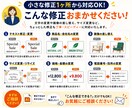 即日対応！Aiデータでお困りの方！修正いたします イラストレーターの簡単なデータ修正承ります。 イメージ5