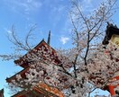 20-30代女子旅、 あなたの好み全て叶えます のんびりした旅行も予定を詰めた旅行も好みに合わせ提案します！ イメージ4