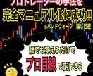 新手法!業界初のバイナリー手法教えます 完全マニュアル化によるプロの裁量トレードを実現 イメージ2