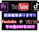 Youtube Tik Tok等の動画編集承ります 1つ1つ全力で編集します!!! イメージ1