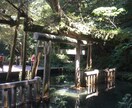 心を軽くするお手伝いをします 自分を大切にできるようにしていきましょう‼︎ イメージ7