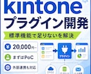 kintoneプラグイン開発します 標準機能で困る業務を小さく試作 イメージ1