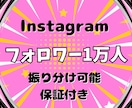 Instagramフォロワー1万人以上増やします ＼1フォロワー1円／コスパ最強で掴む影響力と収益化も可能です イメージ5