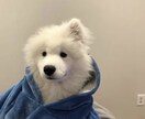 電話が苦手な方、チャットでお話聞きます どんな貴方も受け入れます♡今日あった出来事を聞かせてください イメージ6
