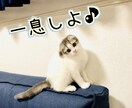 5分だけでも一息しましょ♪あなたのお話聞きます /こころに溜まった気持ちを吐き出して下さいね。 イメージ1