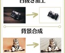安い・速い・丁寧 画像加工承ります 白抜き／切り抜き／背景合成etc…何でも承ります!! イメージ2