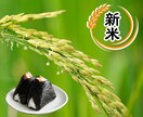Web画像を制作いたします バナー、サムネイル、リッチメニュー、インスタ画像の制作 イメージ10