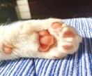 LINE感覚で2日間悩み･愚痴聞きます 周りには言えなくても…僕なら話しても責めないし肯定するよ イメージ1