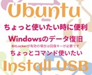 Ubuntu 24ブータブルUSB作成代行します ちょっとLinux OS使いたい時に便利なインストールUSB イメージ1