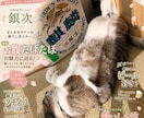 うちの子、雑誌デビューします ペット写真を表紙みたいな一枚に イメージ4