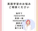 英語学習のお悩み相談におのりします 独学でTOEIC満点、英検一級講師が個別に合った学習法を提案 イメージ1