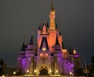 関西から日帰りディズニーインパプラン考えます 時間効率重視&格安を目標にしてます イメージ4