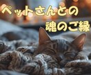 貴方とペットさんとの魂のご縁を読みき解きます なぜ私のところに来てくれたの？今共に暮らす子も虹の橋組さんも イメージ1