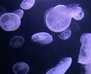 20代OLがあなたの話を優しく聴きます 恋愛、精神疾患、人間関係、雑談などなんでもどうぞ✨ イメージ2