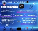 TikTok運用代行｜動画編集・投稿サポートます バズる動画と運用をプロが代行！ イメージ1
