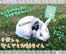 あなたの話し相手になります 悩み、仕事終わりの雑談、聞いてほしいこと、なんでもお話下さい イメージ1