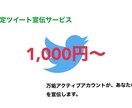 固定ツイートで宣伝します 拡散グループによるサポートを低価格で。 イメージ1